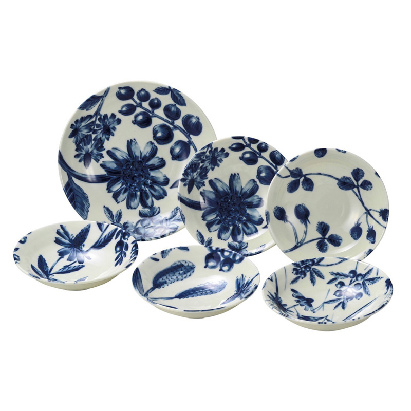 日本Aito Botamical美浓烧陶瓷餐盘 餐碗 碟子 6件套装