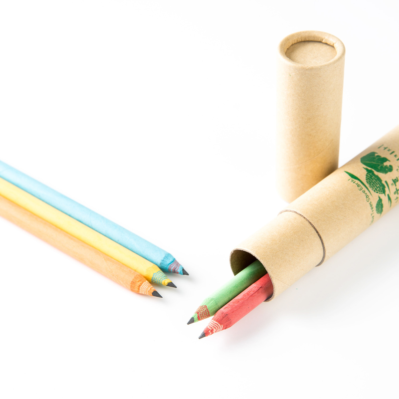 韩国原产ECOI zebra系列纸质铅笔含橡皮擦5支装带笔筒
