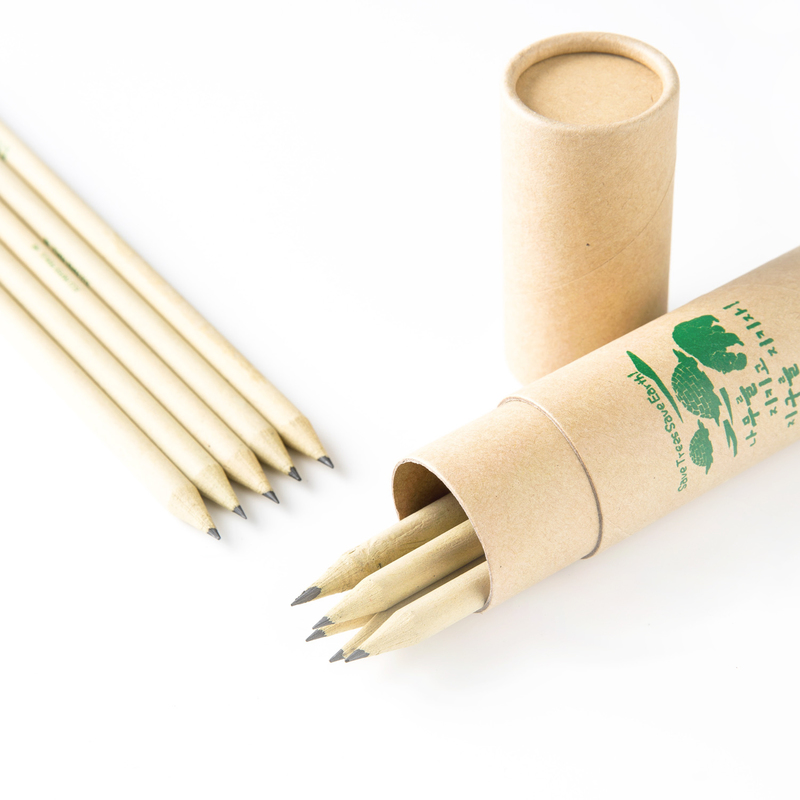 韩国原产ECOI纸质原色铅笔含橡皮擦10支纸筒纸笔筒套装
